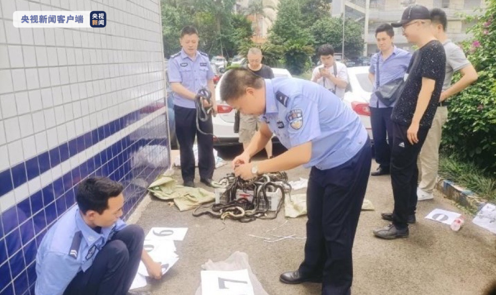 摆拍“卖惨”视频引流牟利，乐山警方以涉嫌虚假广告罪追责